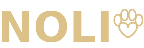 Noli